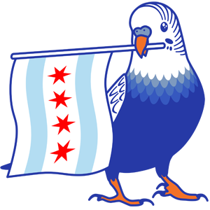 Jaspinko parakeet proudly holds the flag of Chicago.